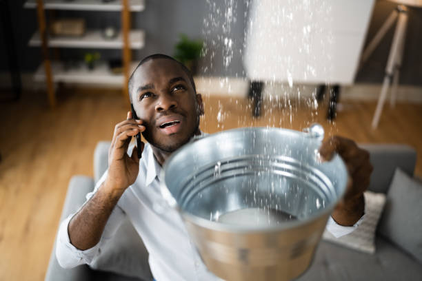 Best 24/7 water damage repair  in Olympia, SC