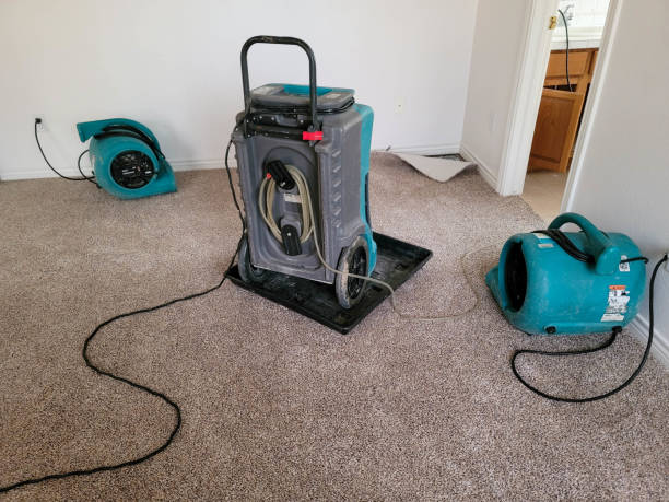 Best Flood restoration services  in Olympia, SC