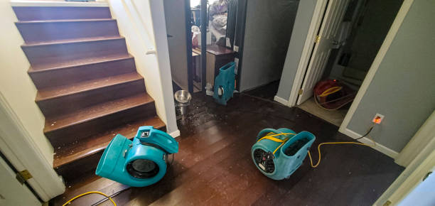 Best Water damage cleanup near me  in Olympia, SC