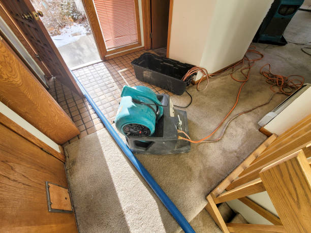 Best Basement water damage restoration  in Olympia, SC