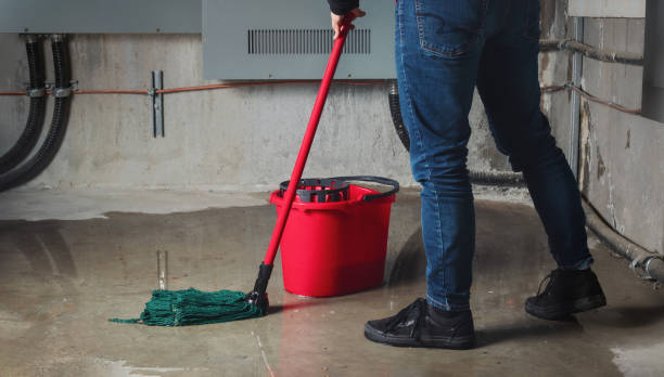 Best Water damage restoration near me  in Olympia, SC