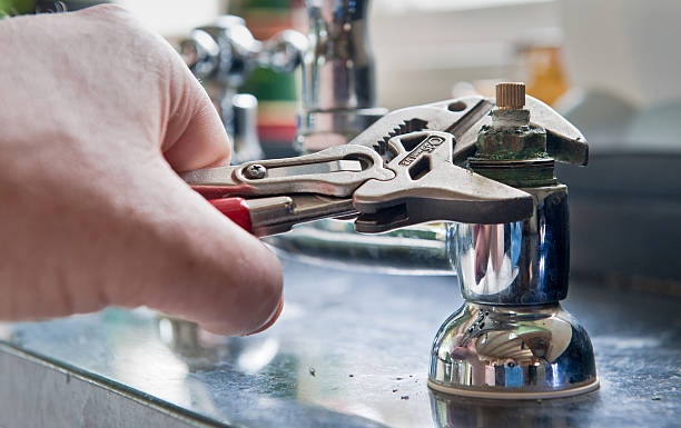 Best Mold removal after water damage  in Olympia, SC