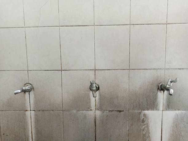 Best Ceiling water damage repair  in Olympia, SC