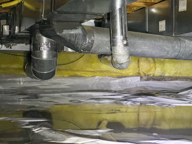 Best Carpet water damage restoration  in Olympia, SC