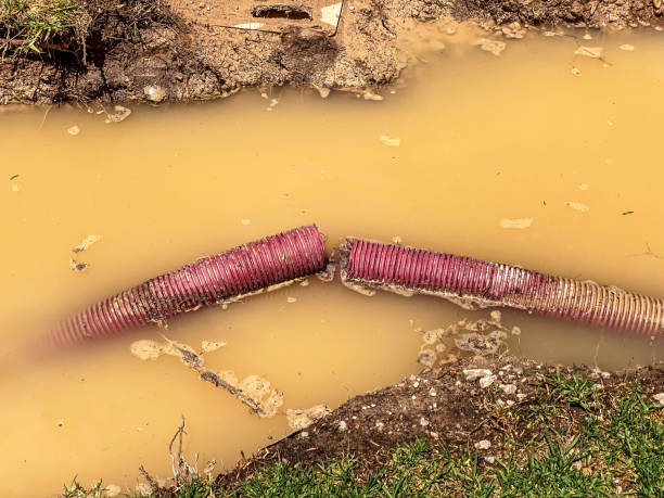 Water damage restoration insurance claims in Olympia, SC