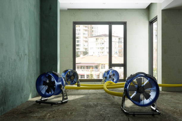 Best Fire Damage Restoration  in Olympia, SC