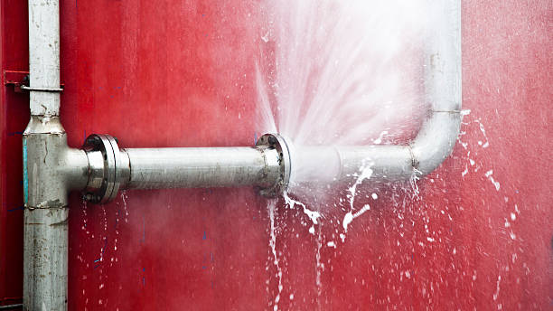 Best Water damage contractors near me  in Olympia, SC